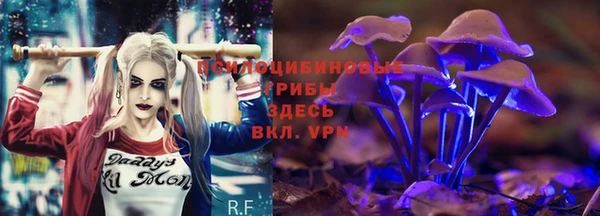 трава Каменка