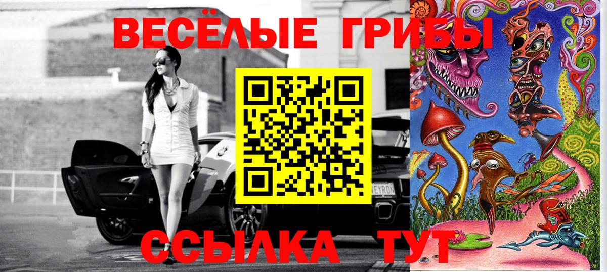 Псилоцибиновые грибы Psilocybine cubensis Кинель