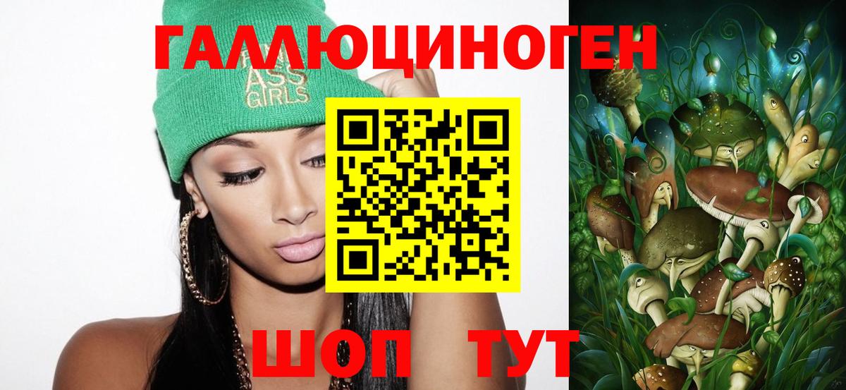 Кинель  Галлюциногенные грибы Cubensis  Вход с VPN 