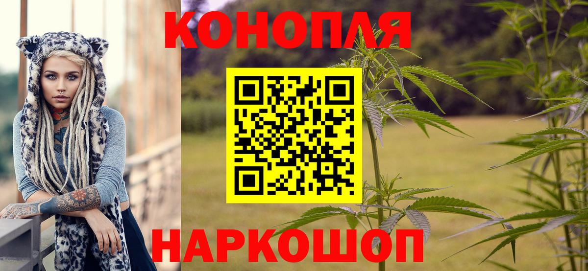Шишки марихуана индика Кинель